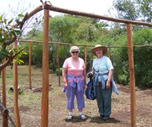 StandingInCoop chicken coop